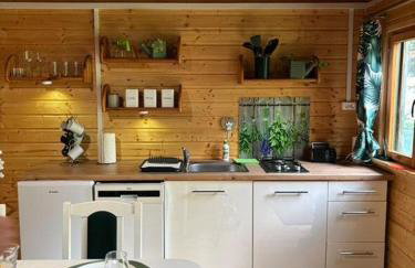 Butelkowa Zieleń - Foto 30