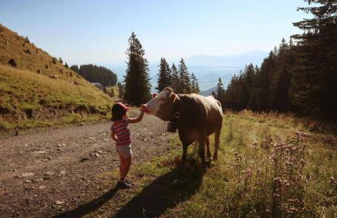Panek, Haus - Foto 41