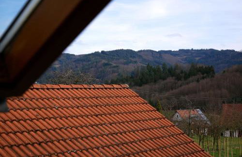 Ferienwohnung Obere Alm - Photo 17