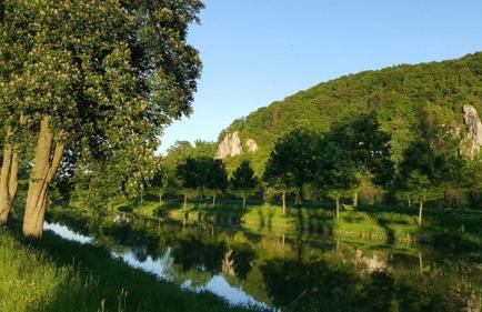 Ferienwohnung Schäffer mit Klimaanlage und Freisitz im Garten - Foto 17