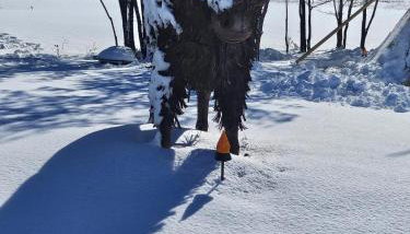 Apt 1- High Plains Lodge at Nomad Landing - Foto 4