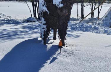 Apt 2- High Plains Lodge at Nomad Landing - Foto 12