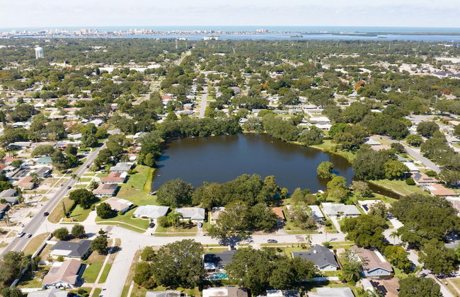 Heated Pool Hot tub Clearwater Dunedin Pet Friendly - Foto 47