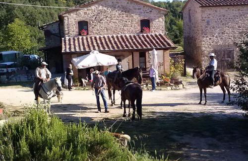 Agriturismo Santa Caterina - Foto 22