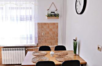 Apartament z tarasem i pokoje KLIMATYZOWANE -Drozdówka Solina - Foto 57