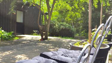 Eco-lodges Lacanau Moutchic Inn - 4 pers - Foto 4