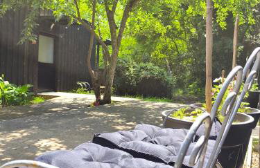 Eco-lodges Lacanau Moutchic Inn - 4 pers - Foto 4