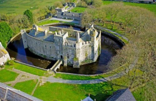 Les 3 mésanges - Foto 30