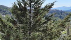 Residenza la Viola - Foto 5