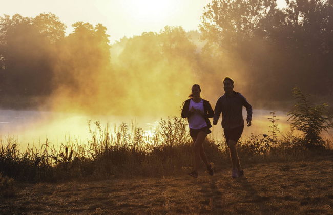 Stara Wieś Resort & Odnowa - Foto 39