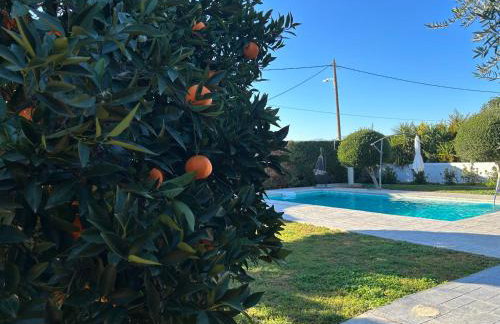 The Orange Garden - Foto 6