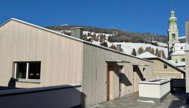 stella alpina - Foto 2