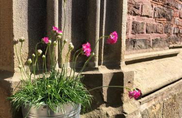 Das Ministerhaus - 1-2 Zimmer in historischer Villa - Foto 25