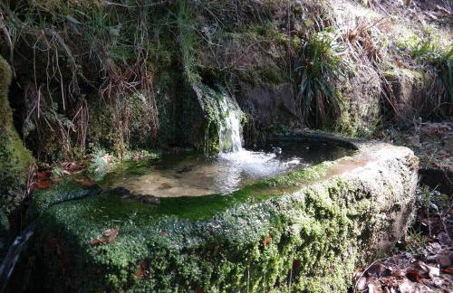 Ferienwohnung Am Wald - Foto 22