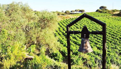 Fabulosa Quinta do Vento - Foto 3