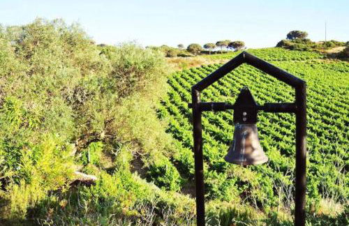 Fabulosa Quinta do Vento - Foto 3