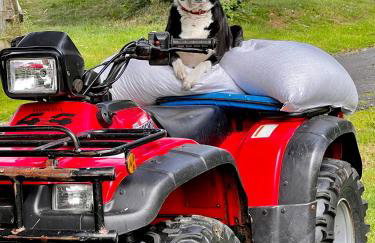 Rectory Cottage. Close to Enniskillen and lakes. - Foto 22