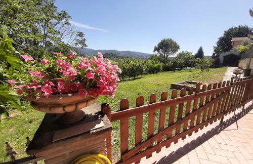 Villa Pacchini Wellness & Relax Retreat - Foto 44