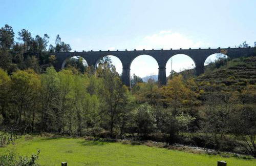 Casa da Caneleira Camélias de Basto - Foto 47