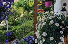 Ferienwohnung Wiesental 89331 Burgau, Wiesentalstrasse 1 - Foto 63