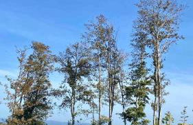 Ferienwohnung Haiger-Burbach für 5 Personen - Foto 22