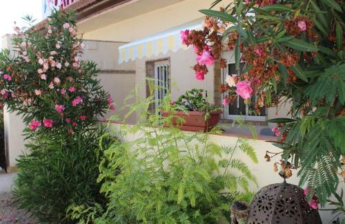 Finca Doña Sofia Maria - Foto 16