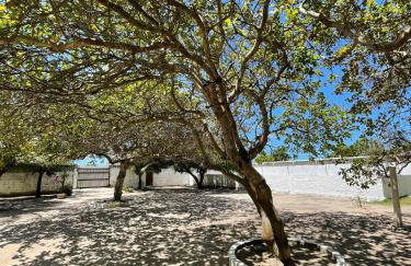 Chácara Soares Melo - Foto 52