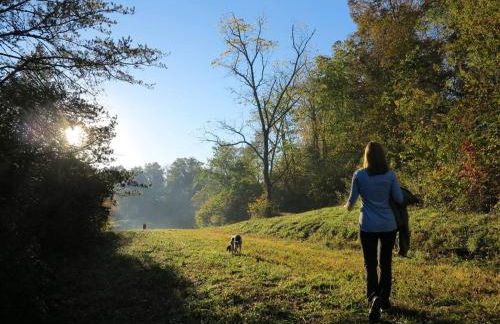 Alice Rocks - Pet Friendly, Firepit, WiFi - Foto 23