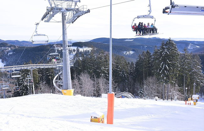 Modern Apartment in Sellinghausen With Terrace - Foto 32