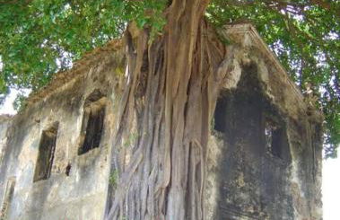 CASAMAR Lucena - Photo 42