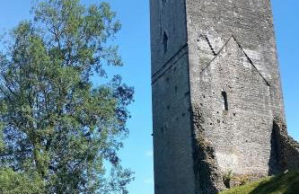 Le grand Houx - Foto 58