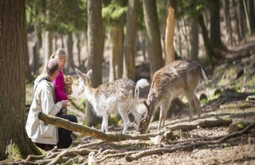 Holiday Home in Grand Est - Foto 14