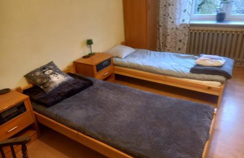 Owocowa Chojnata - Foto 43