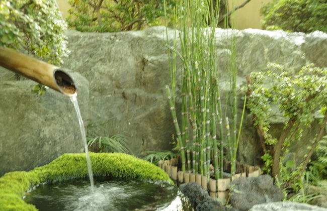 GUESTHOUSE engiya - Foto 16