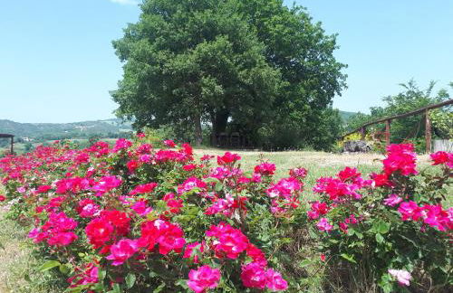 Agriturismo Molleone - Foto 52