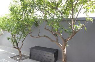 Kalafatis Garden House - Photo 11