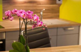 Appartements Le Hupsa Pfannala - Foto 11