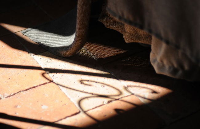 Corte San Ruffillo-Azienda Agrituristica - Foto 35