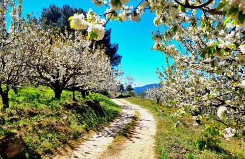 ALBAREÍLLA by #cherrygredos - Photo 36