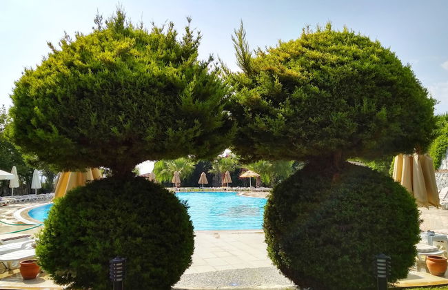 Lakeside Garden - Foto 75