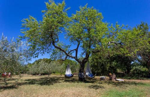 Kapetanova Villa - Photo 68