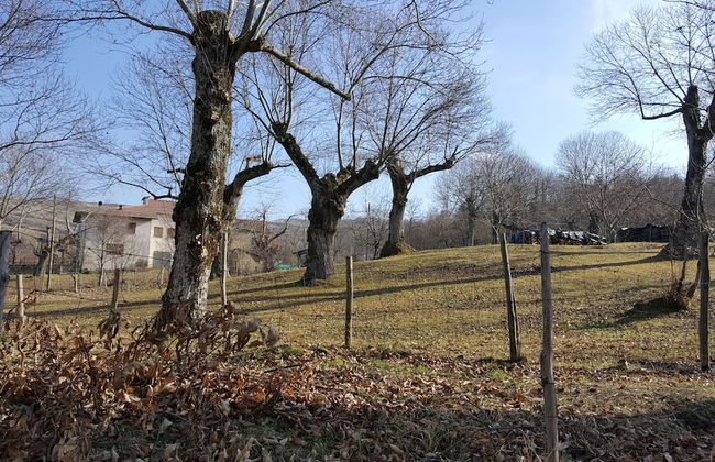 Agriturismo Bio I Rondinelli - Foto 47