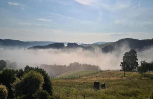 Modernes Apartment mit Parkplatz in der Eifel - Foto 63