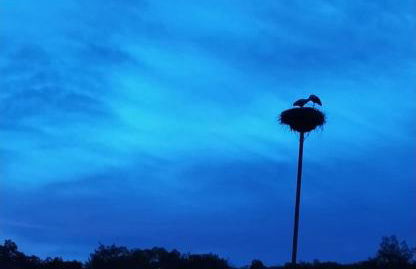 Casa de Campo - Casa da Ribeira - Foto 13