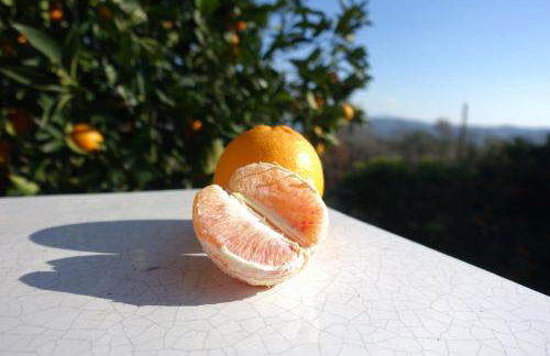 Casa Vacanze Malvarosa - Foto 56