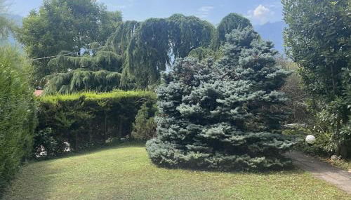 Villa Natura appartamento Open Space con giardino - Foto 4, Garden view