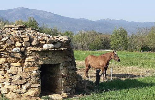 GITE DE NOGAROLS - Foto 12