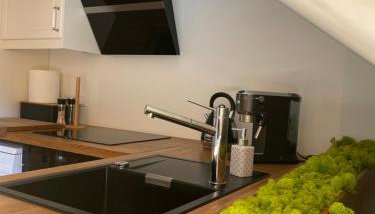 Bieszczadzki Zakątek - Foto 4