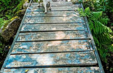 O Refúgio - Foto 55