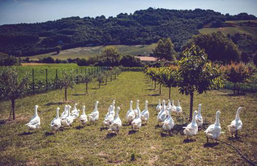 Agriturismo Casal San Sergio - Photo 64